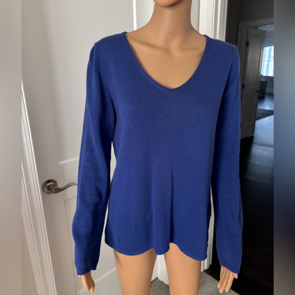 Blue V-Neck Sweater